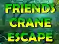 Spil Friends Crane Escape online