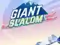 Spil Giant Slalom online