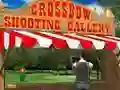 Spil Crossbow Shooting Gallery online