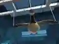 Spil Goose Museum online