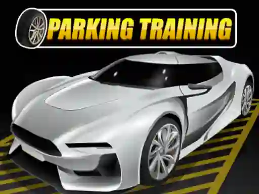 Spil Parking Training online