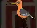 Spil Cute Godwit Escape online