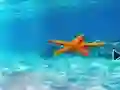 Spil Escape From Underwater Starfish online