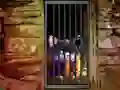 Spil Hidden Cat Escape online