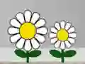 Spil Find Succulent Plant online