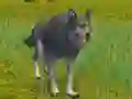 Spil The Wolf: Wild Animal Simulator online