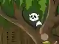 Spil Panda Jungle Escape online
