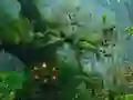 Spil Innocent Sparrow Couple Escape online