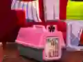 Spil Escape The Small Pug online