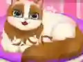 Spil Cute Kitty Pregnant online