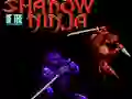 Spil Shadow of the Ninja online