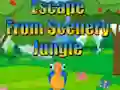 Spil Escape from Scenery Jungle online