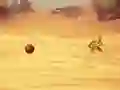 Spil Monkey Shooting online