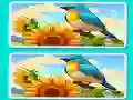 Spil Spot the Difference The Garden online