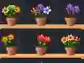 Spil Good Flower Master online