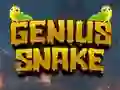 Spil Genius Snake online