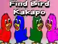 Spil Find Bird Kakapo online
