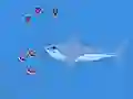 Spil Oceans Shees online