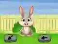 Spil Springtime Escape online