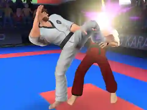 Spil Karate Fighter online