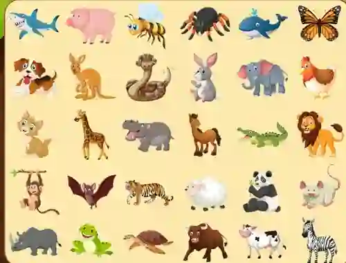 Spil Discover Animals online