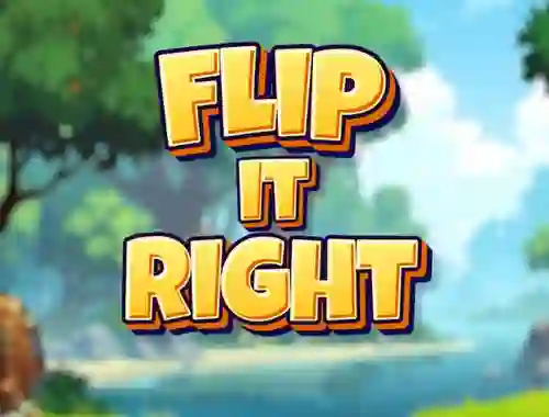 Spil Flip It Right online