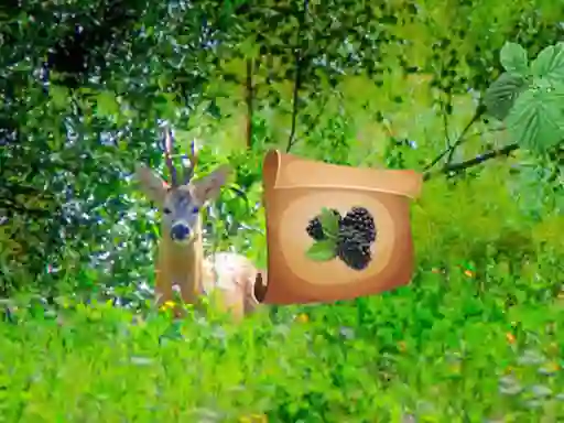 Spil Return To Alsunga Forest online