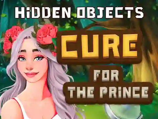 Spil Hidden Objects Cure For The Prince online