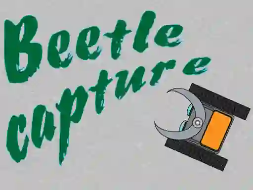 Spil Beetle Capture online