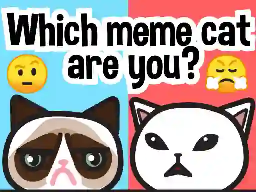 Spil Which Meme Cat Are You? online