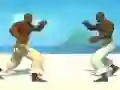 Spil Capoeira fighter online