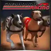 Spil Greyhound Racing online