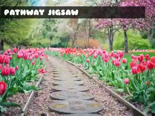 Spil Pathway Jigsaw online