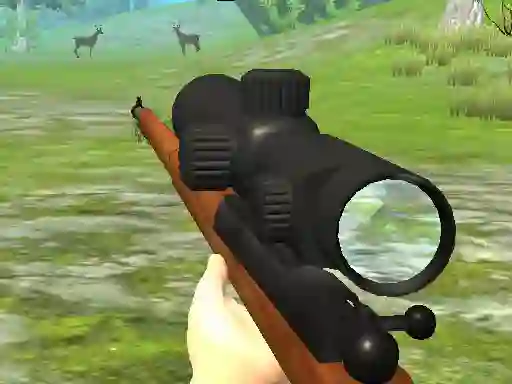 Spil Hunter 3D online