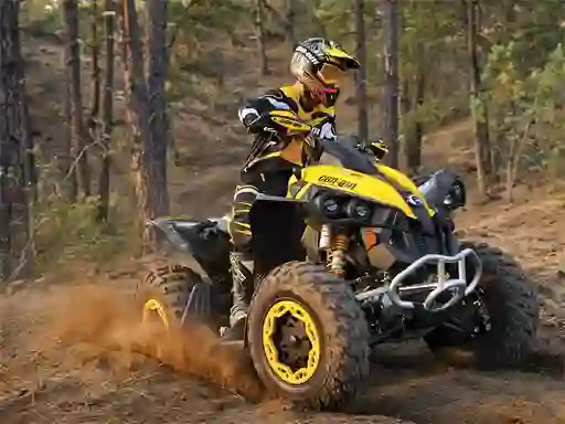 Spil ATV Offroad Puzzle online