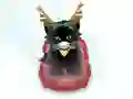 Spil Pet Sledding online