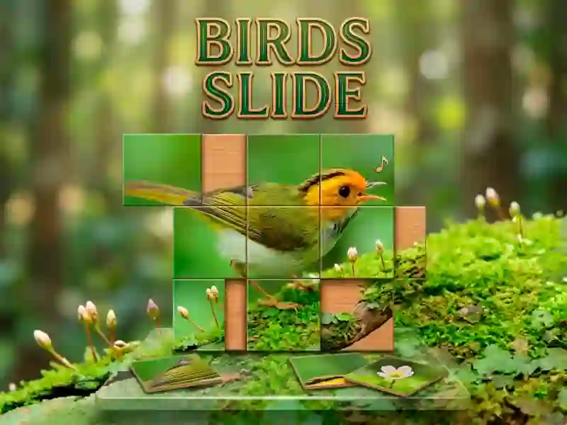 Spil Birds Slide online