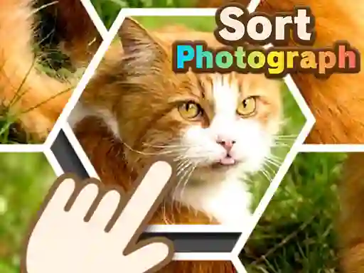 Spil Sort Photograph online