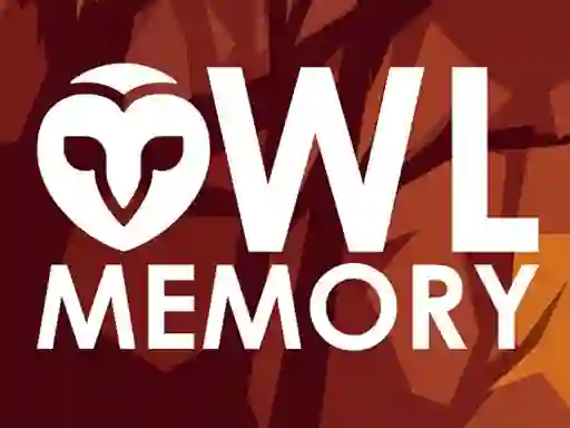 Spil Owl Memory online