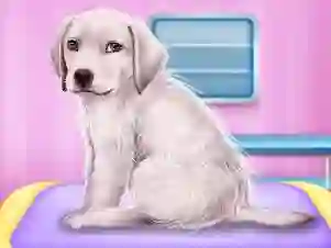 Spil Labrador at the doctor salon online