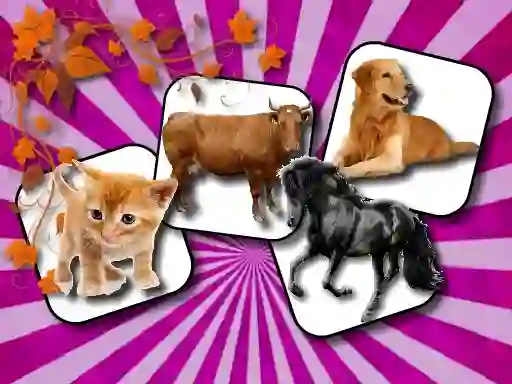 Spil Domestic Animal Memory Challenge online