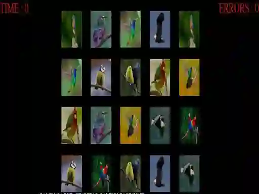 Spil Memorize the birds online