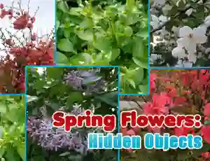 Spil Spring Flowers: Hidden Objects online