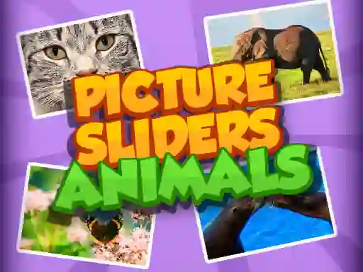 Spil Picture Slider Animals online