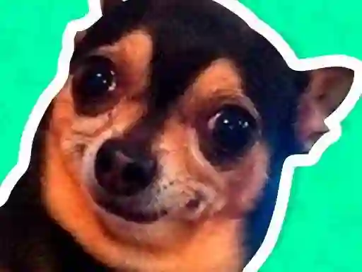 Spil What meme dog are you ? online
