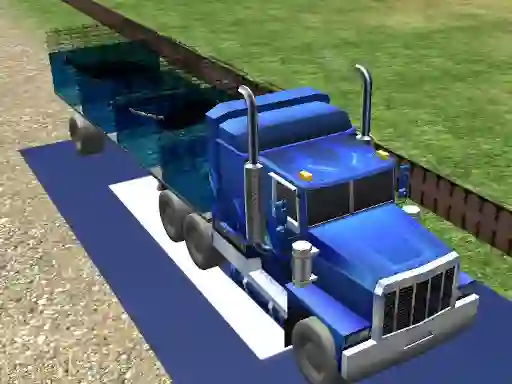 Spil Sea Animal Transport online