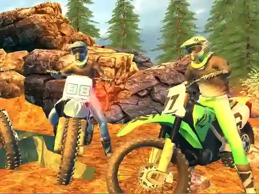 Spil Offroad Motorcycle Bike Racing 2020 online