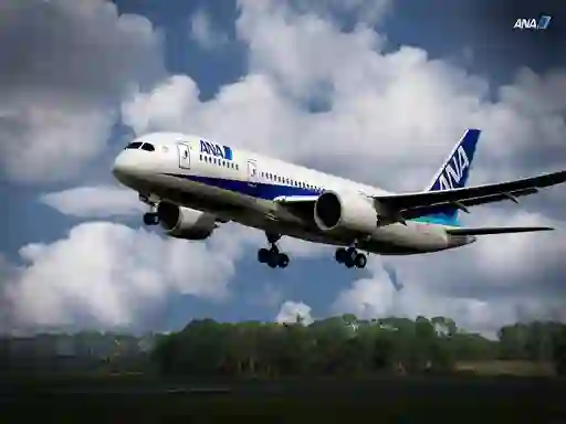 Spil Boeing Dreamliner Puzzle online