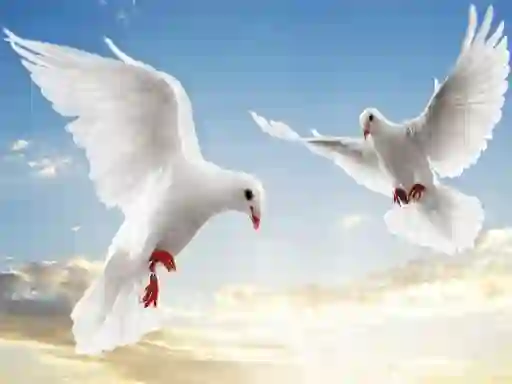 Spil Flying Birds online