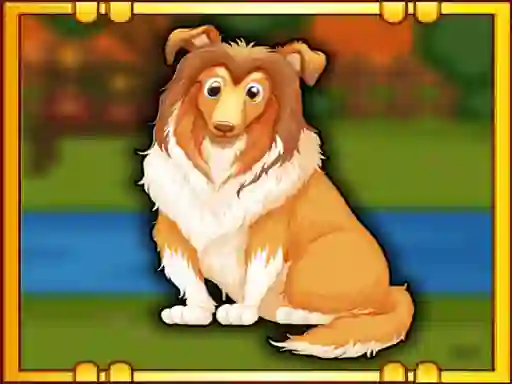 Spil Bernese Mountain Dog Escape online
